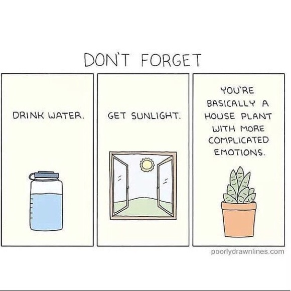 Meet your Posher, Ace - Picture 1 of 1